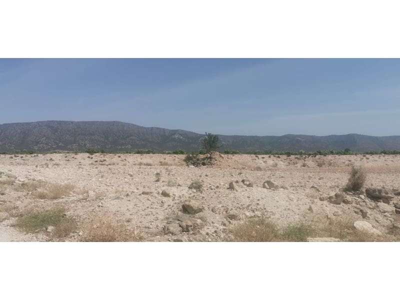Grunde uden byggetilladelser til salg i Pinoso - € 55.000 (Ref: 9922680)