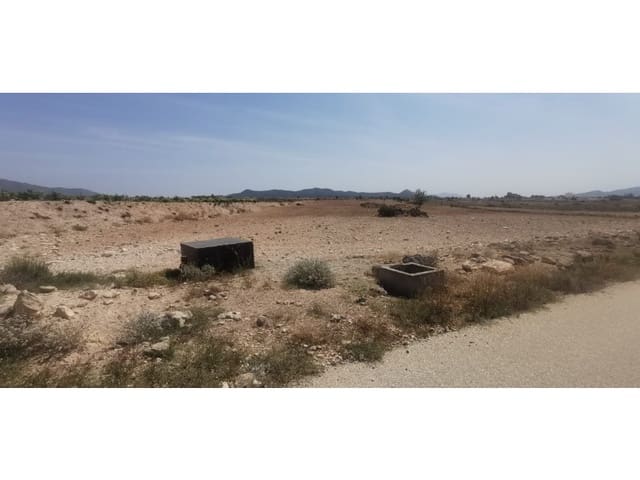 Grunde uden byggetilladelser til salg i Pinoso - € 55.000 (Ref: 9922680)