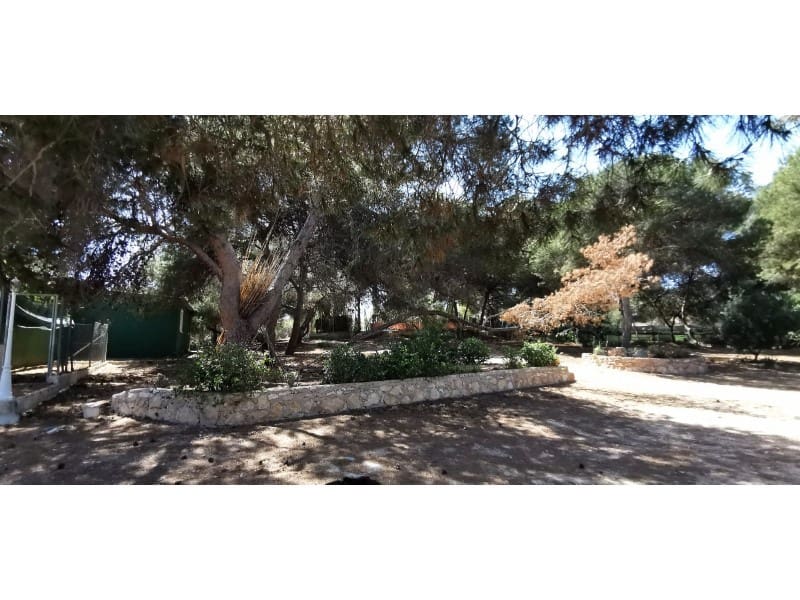 4 soverom Villa til salgs i La Marina med svømmebasseng - € 418 000 (Ref: 9922681)