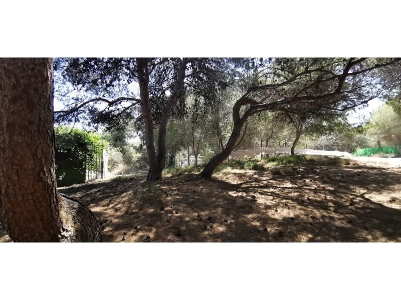 4 soverom Villa til salgs i La Marina med svømmebasseng - € 418 000 (Ref: 9922681)