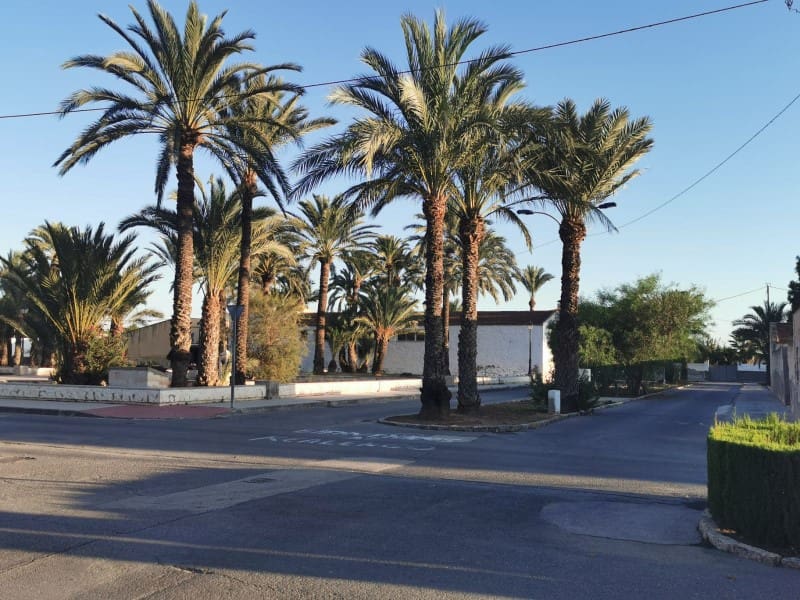 8 bedroom Finca/Country House for sale in Crevillente / Crevillent - € 320,000 (Ref: 9922684)
