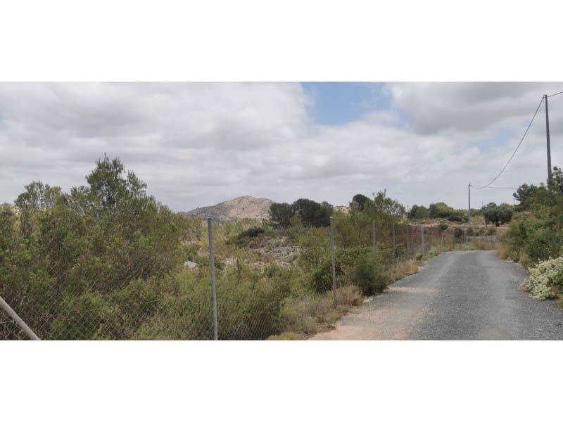 Undeveloped Land for sale in Hondon de las Nieves - € 95,000 (Ref: 9931533)