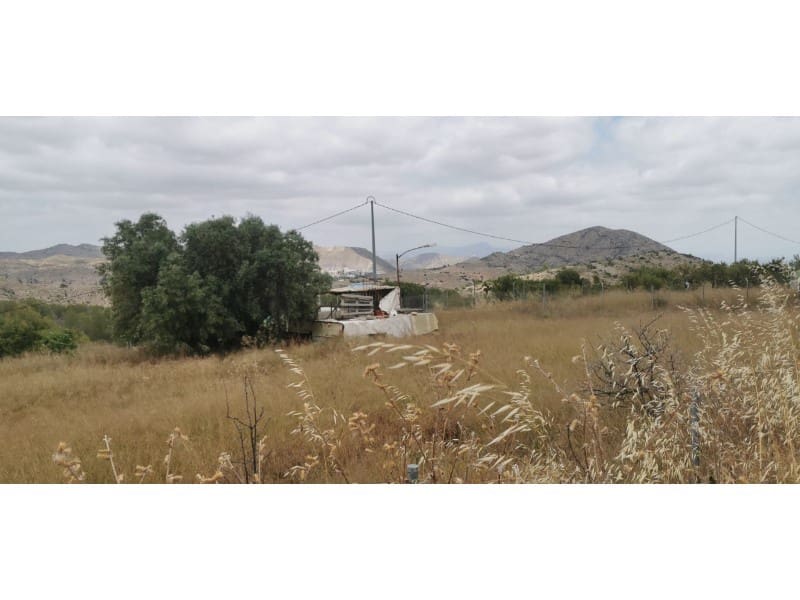 Undeveloped Land for sale in Hondon de las Nieves - € 95,000 (Ref: 9931533)