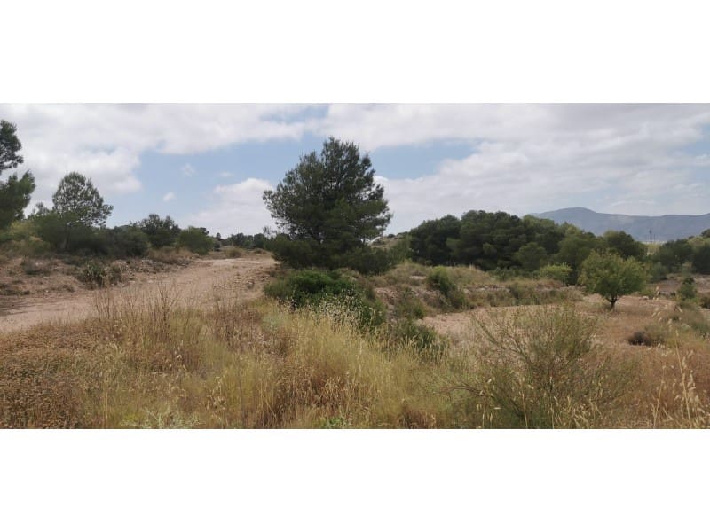 Undeveloped Land for sale in Hondon de las Nieves - € 95,000 (Ref: 9931533)
