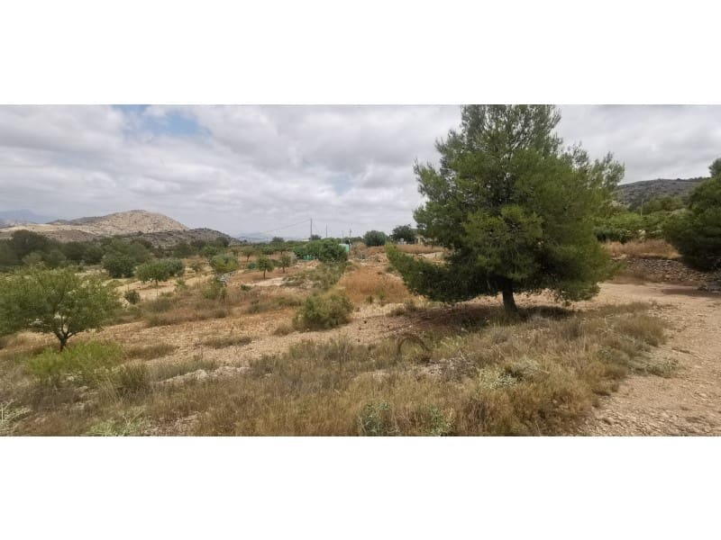 Undeveloped Land for sale in Hondon de las Nieves - € 95,000 (Ref: 9931533)