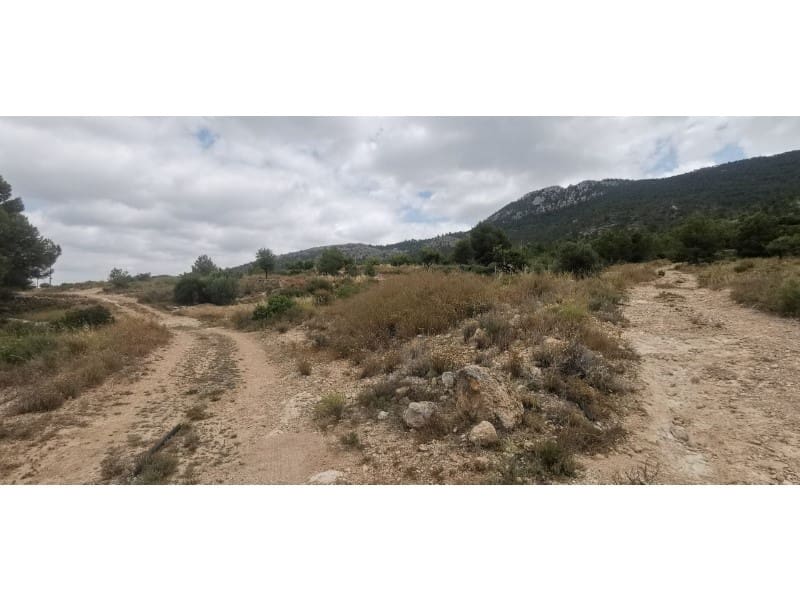 Undeveloped Land for sale in Hondon de las Nieves - € 95,000 (Ref: 9931533)