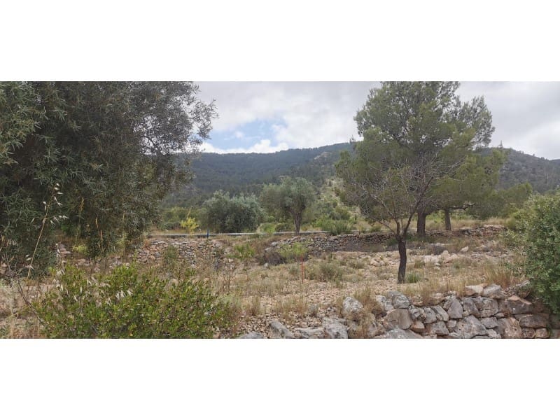 Undeveloped Land for sale in Hondon de las Nieves - € 95,000 (Ref: 9931533)