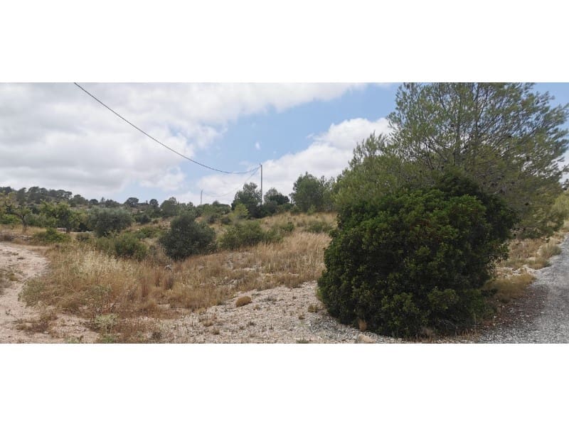 Undeveloped Land for sale in Hondon de las Nieves - € 95,000 (Ref: 9931533)
