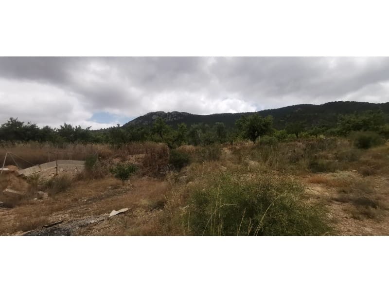 Undeveloped Land for sale in Hondon de las Nieves - € 95,000 (Ref: 9931533)