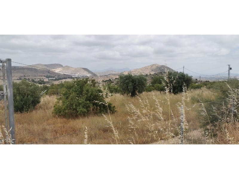 Undeveloped Land for sale in Hondon de las Nieves - € 95,000 (Ref: 9931533)