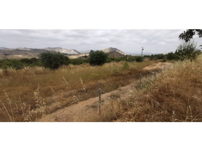 Undeveloped Land for sale in Hondon de las Nieves - € 95,000 (Ref: 9931533)