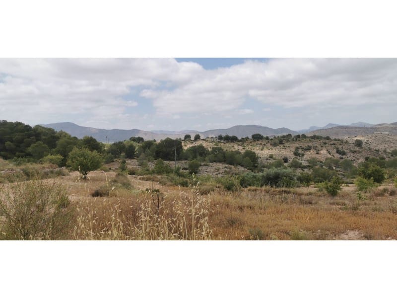 Undeveloped Land for sale in Hondon de las Nieves - € 95,000 (Ref: 9931533)
