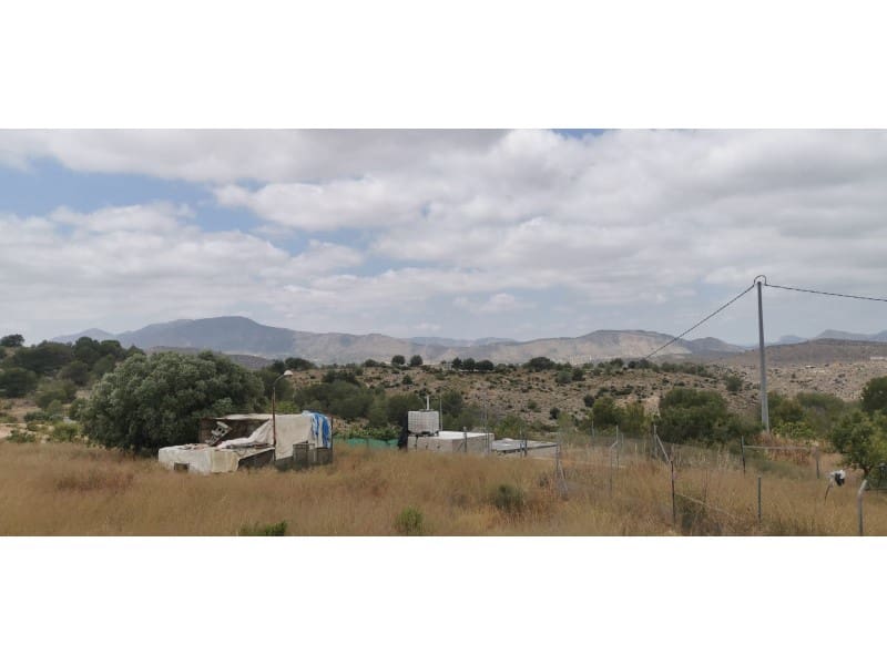 Undeveloped Land for sale in Hondon de las Nieves - € 95,000 (Ref: 9931533)