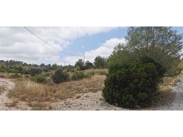 Undeveloped Land for sale in Hondón de las Nieves - € 95,000 (Ref: 9931533)