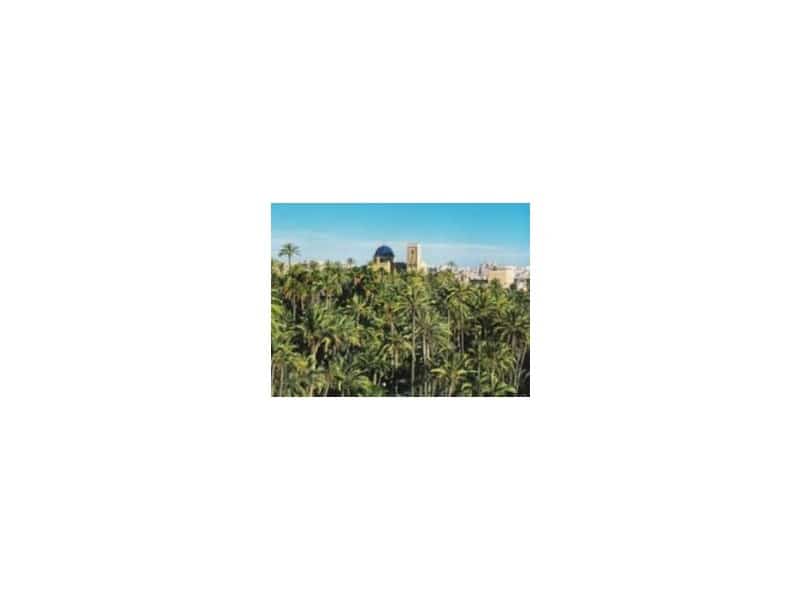 4 soveværelse Lejlighed til salg i Elche / Elx - € 650.000 (Ref: 9936334)