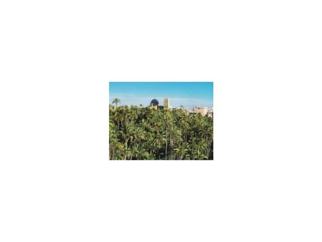 4 soveværelse Lejlighed til salg i Centro, Elche / Elx - € 650.000 (Ref: 9936334)