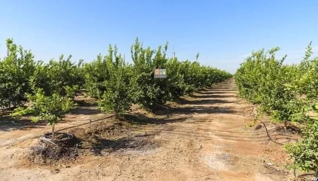 Undeveloped Land for sale in Altea - € 135,700 (Ref: 10007973)