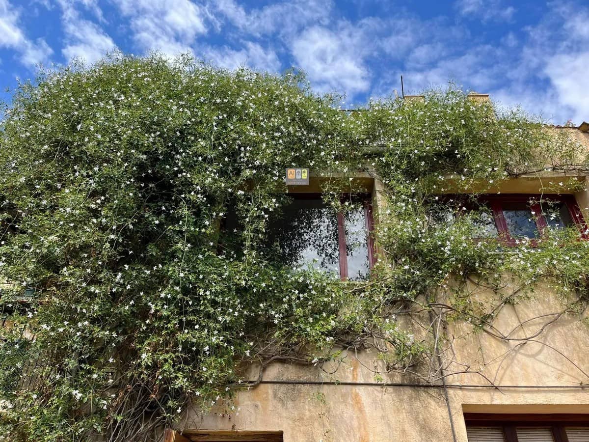5 chambre Villa/Maison à vendre à Polop - 395 000 € (Ref: 10007988)