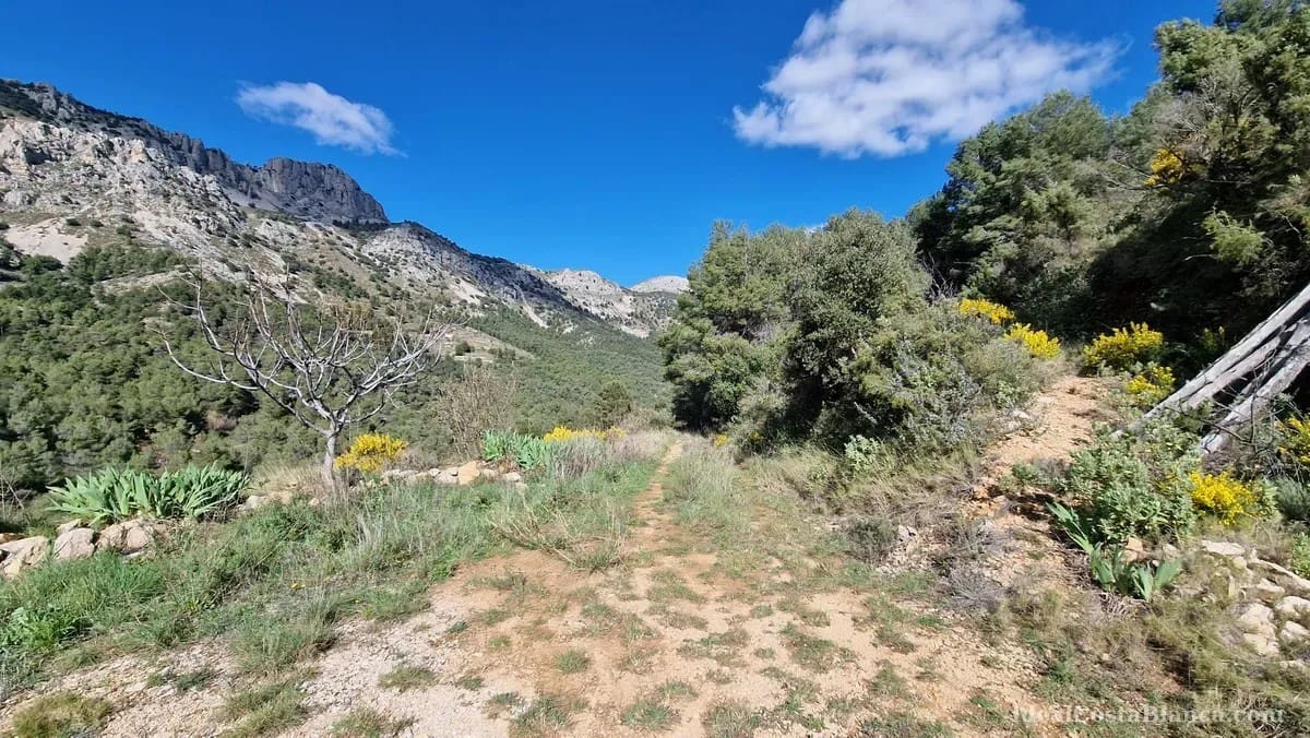 1 bedroom Finca/Country House for sale in Confrides - € 110,000 (Ref: 10024795)