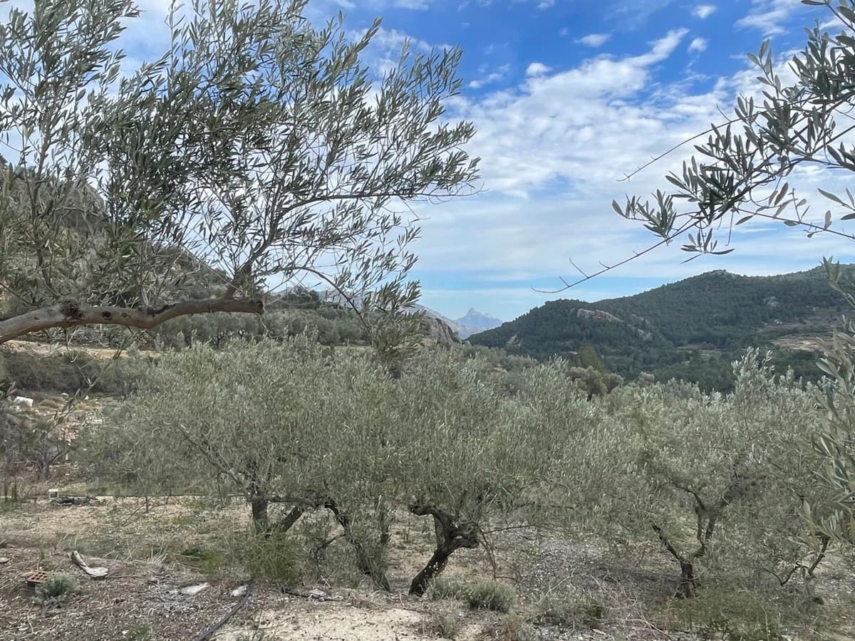 Finca/Country House for sale in Confrides with pool garage - € 150,000 (Ref: 10024796)