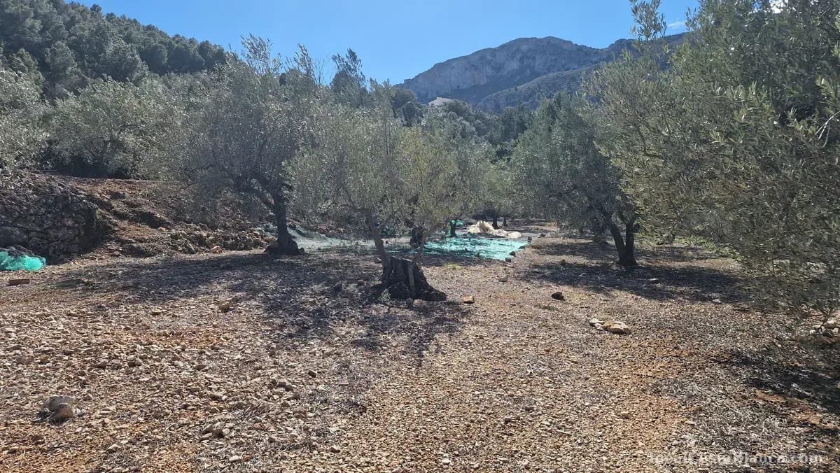 Finca/Country House for sale in Confrides - € 130,000 (Ref: 10024797)