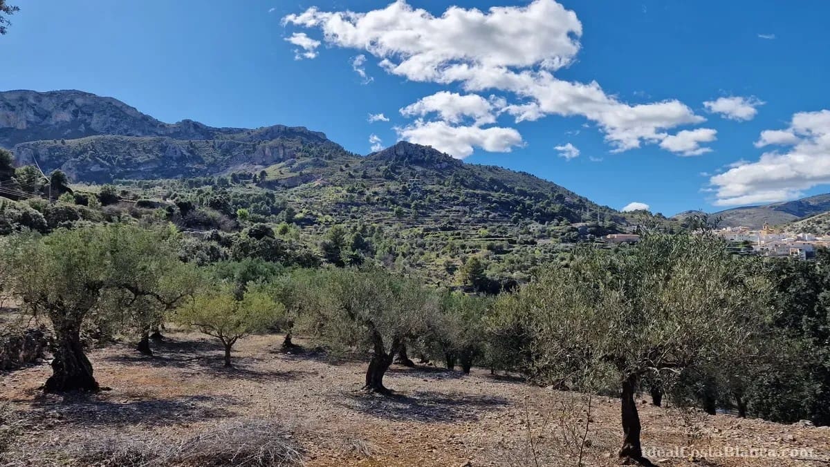 Finca/Country House for sale in Confrides - € 130,000 (Ref: 10024797)