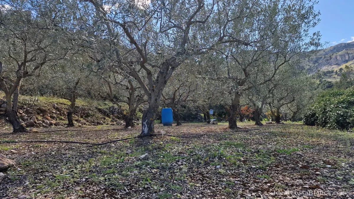 Finca/Country House for sale in Confrides - € 130,000 (Ref: 10024797)
