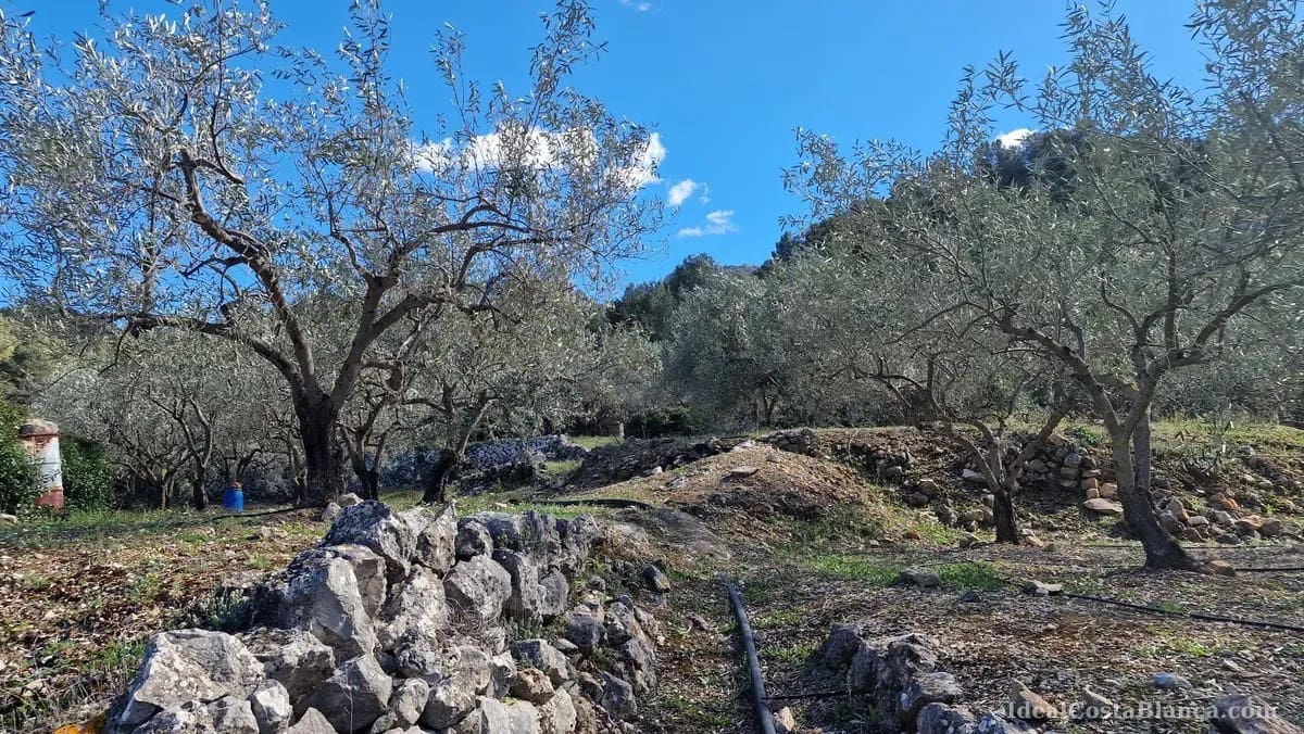 Finca/Country House for sale in Confrides - € 130,000 (Ref: 10024797)
