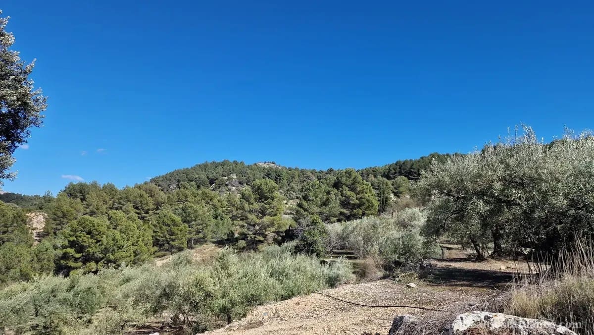 Finca/Country House for sale in Confrides - € 130,000 (Ref: 10024797)