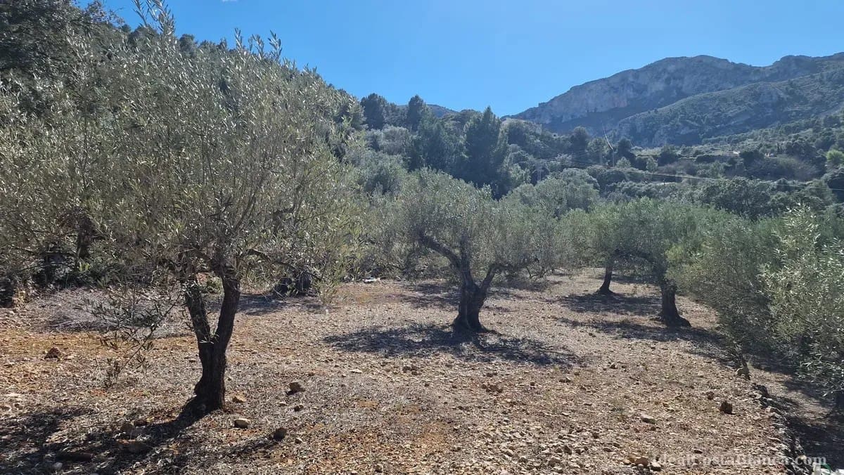 Finca/Country House for sale in Confrides - € 130,000 (Ref: 10024797)