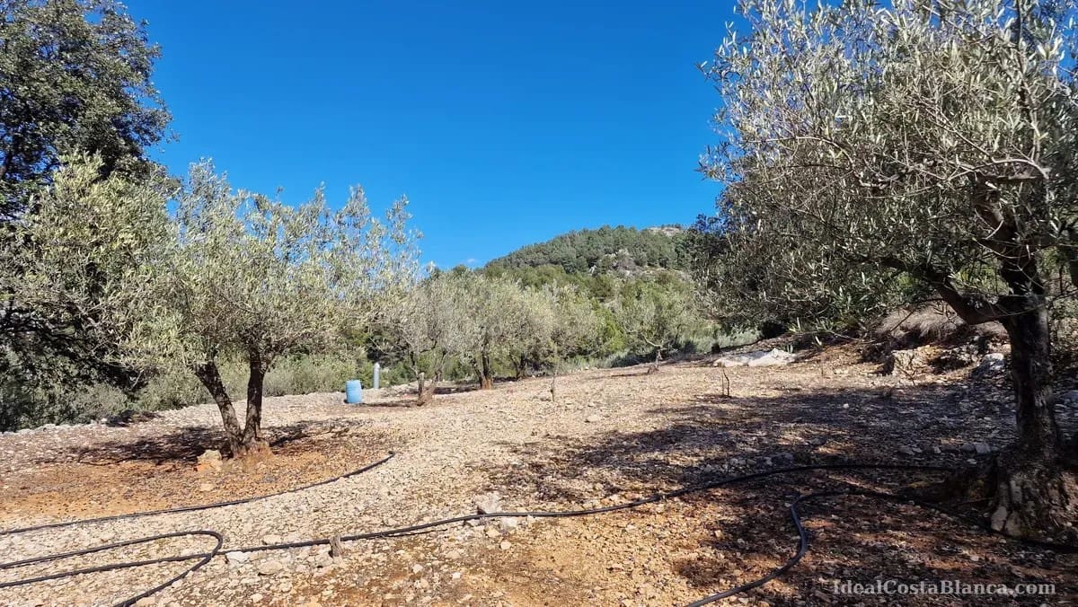 Finca/Country House for sale in Confrides - € 130,000 (Ref: 10024797)