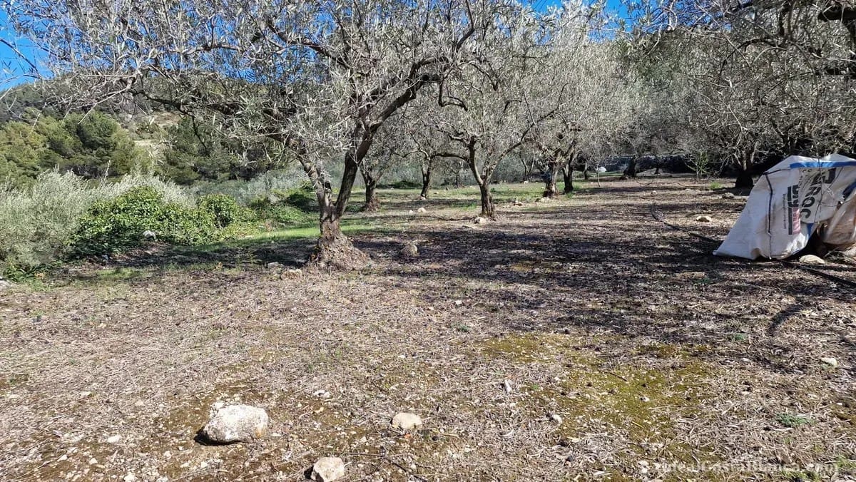 Finca/Country House for sale in Confrides - € 130,000 (Ref: 10024797)
