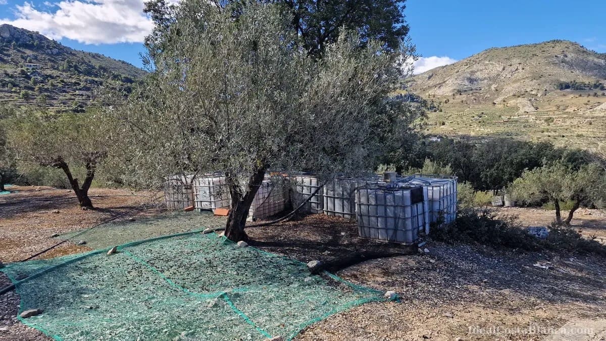 Finca/Country House for sale in Confrides - € 130,000 (Ref: 10024797)
