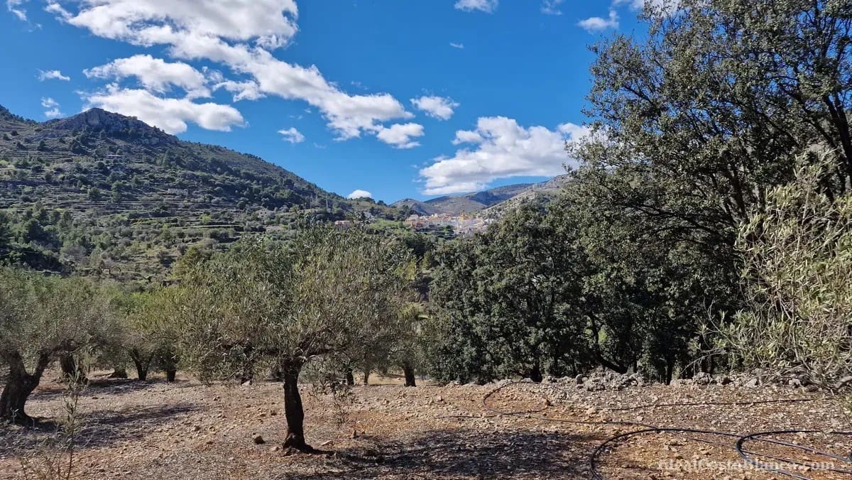 Finca/Country House for sale in Confrides - € 130,000 (Ref: 10024797)