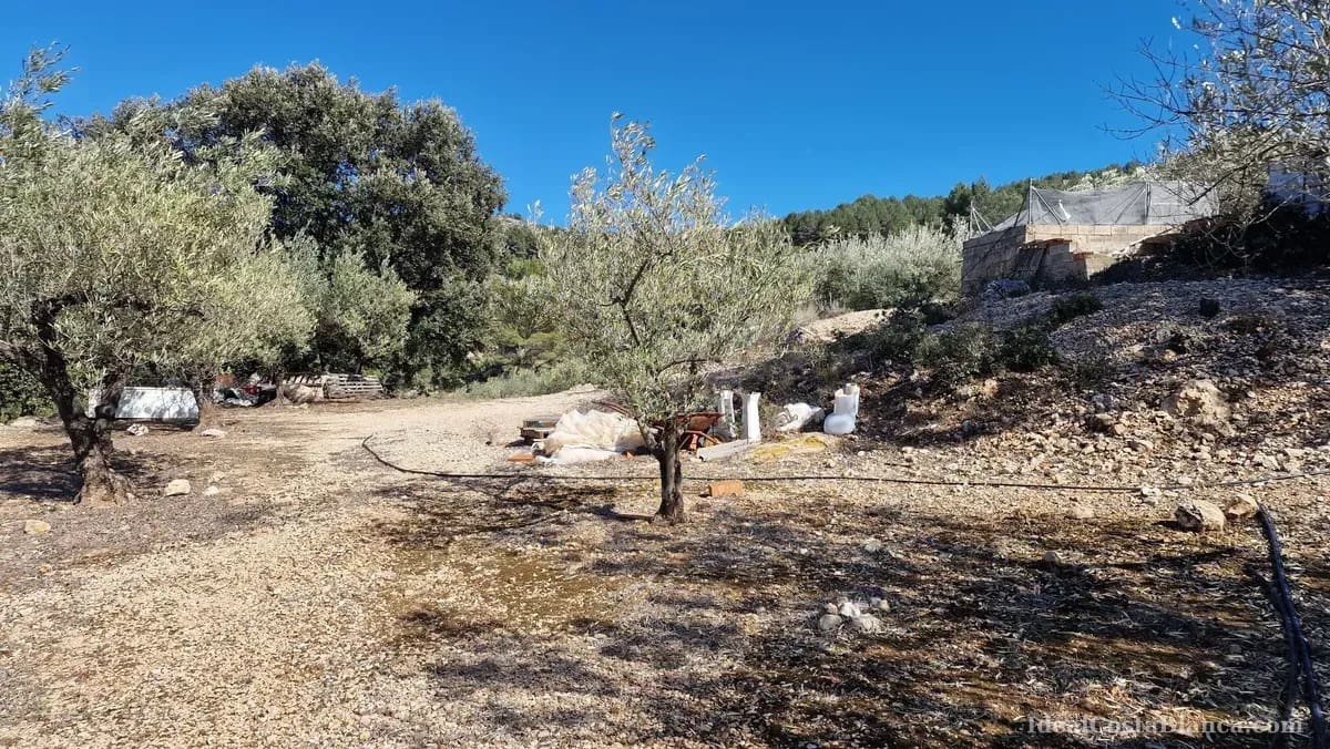 Finca/Country House for sale in Confrides - € 130,000 (Ref: 10024797)