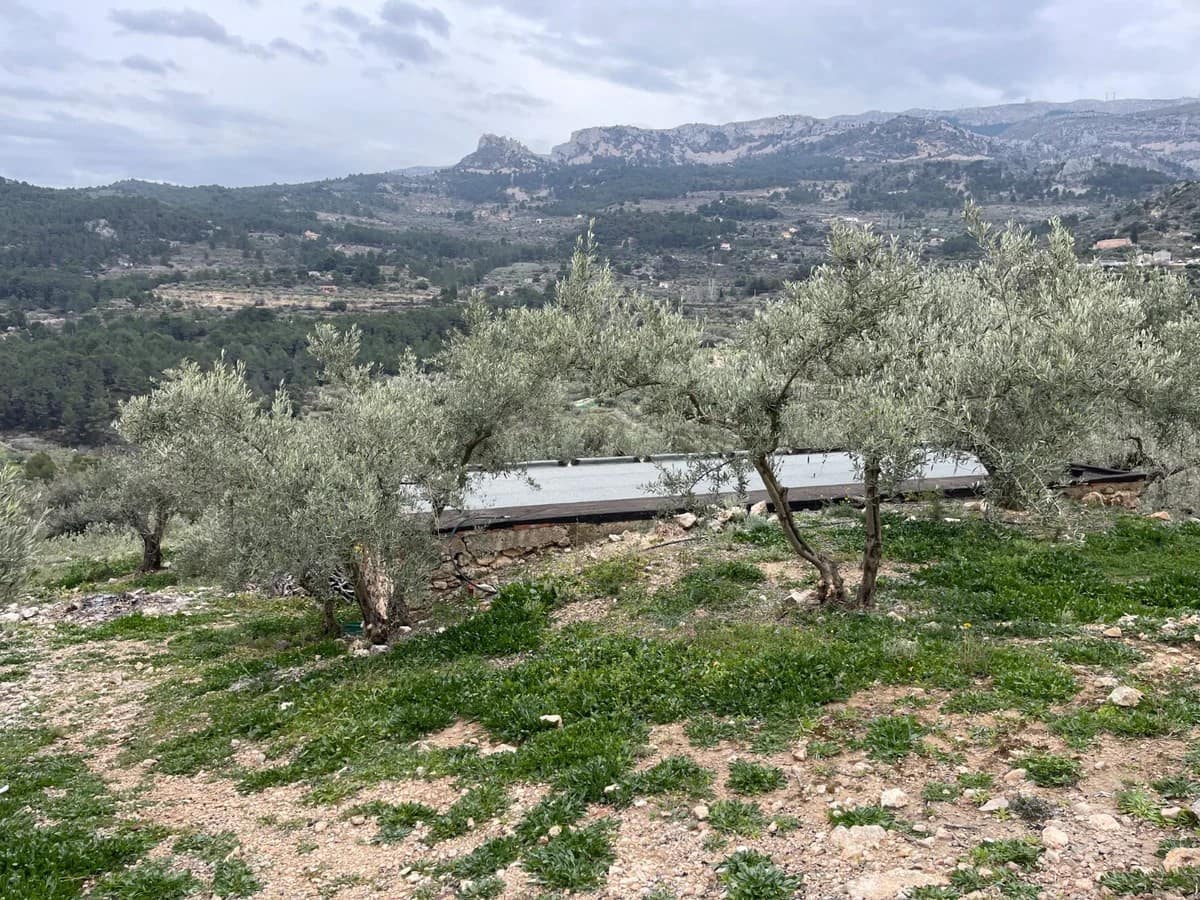 Finca/Country House for sale in Confrides - € 50,000 (Ref: 9847949)