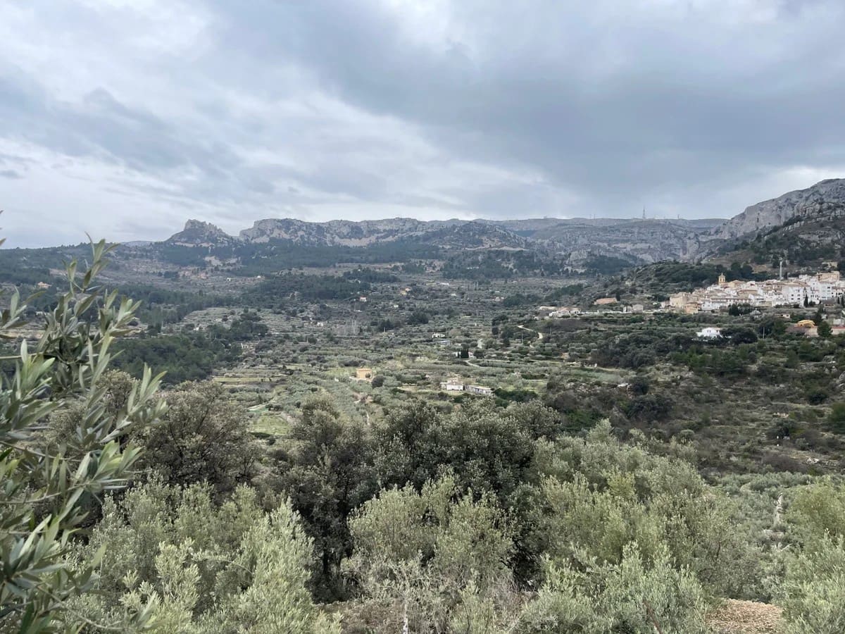 Finca/Country House for sale in Confrides - € 50,000 (Ref: 9847949)
