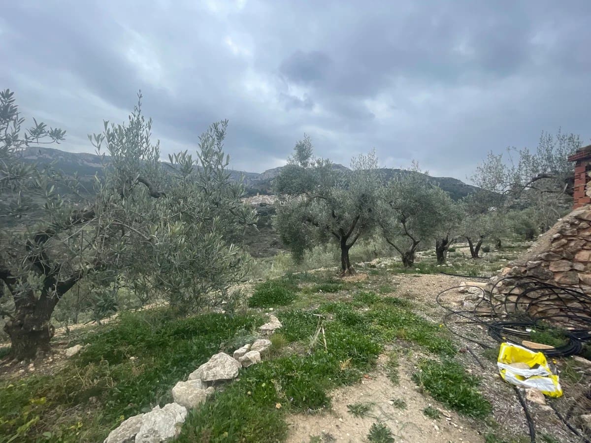 Finca/Country House for sale in Confrides - € 50,000 (Ref: 9847949)