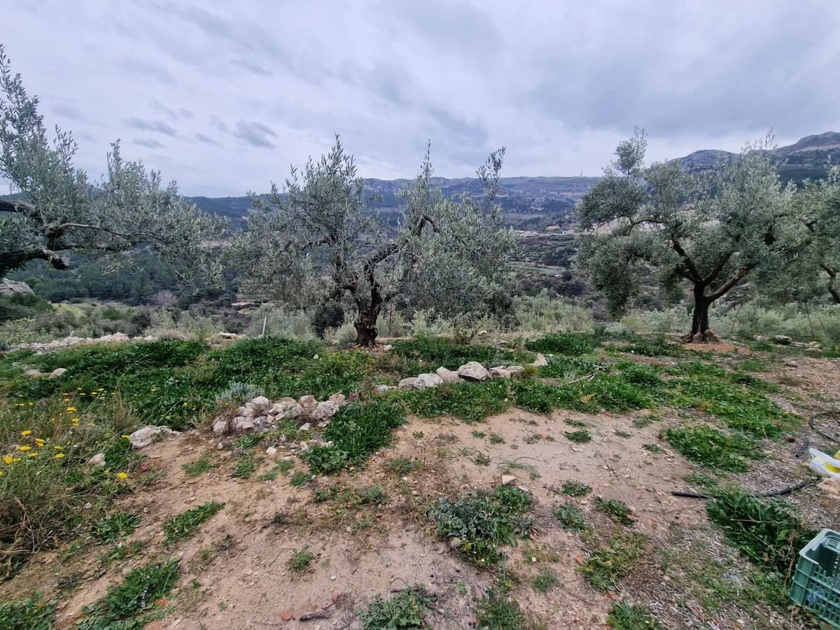 Finca/Country House for sale in Confrides - € 50,000 (Ref: 9847949)