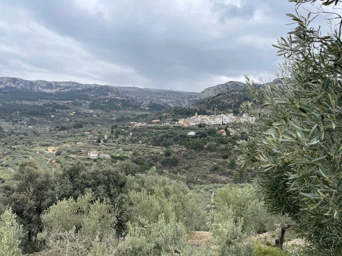 Finca/Country House for sale in Confrides - € 50,000 (Ref: 9847949)