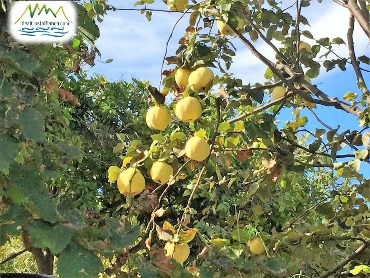 2 soveværelse Finca/Landehus til salg i Altea med garage - € 390.000 (Ref: 9847982)