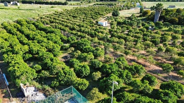 3 bedroom Finca/Country House for sale in El Palmar - Los Molinos, Dénia with pool garage - € 890,000 (Ref: 9841516)