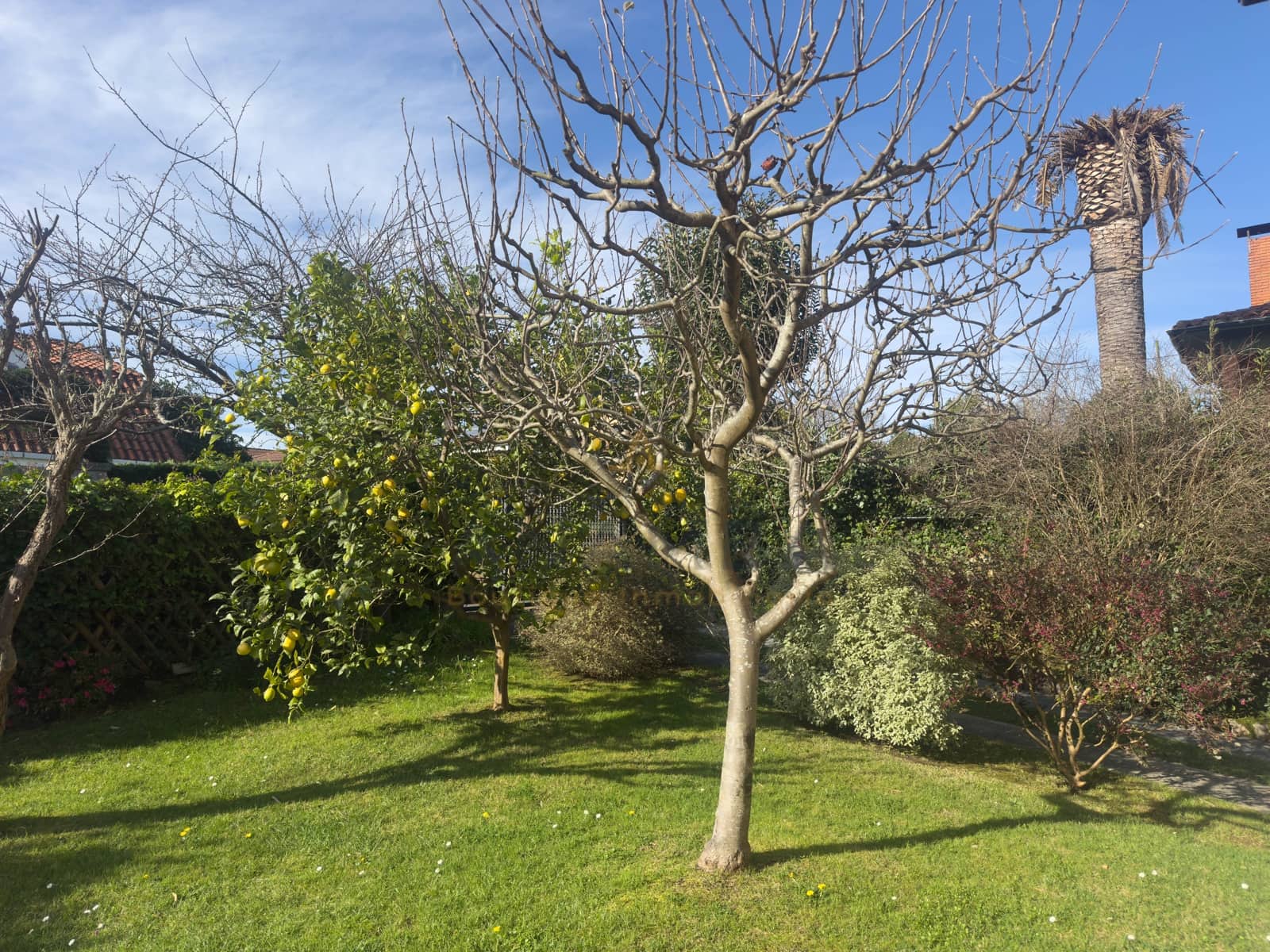 5 bedroom Townhouse for sale in Gijon with pool garage - € 620,000 (Ref: 9911357)