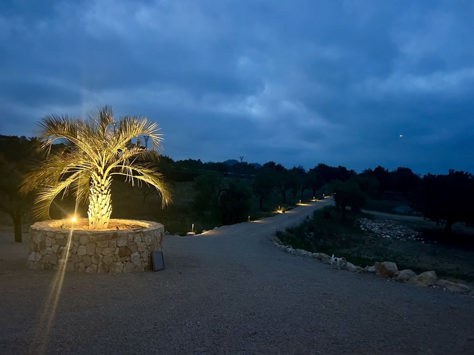 4 soverom Finca/Herregård til salgs i Portocolom med svømmebasseng garasje - € 3 500 000 (Ref: 9872786)