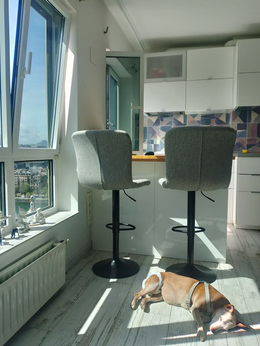 1 bedroom Apartment for sale in Donostia-San Sebastian - € 415,000 (Ref: 9841790)