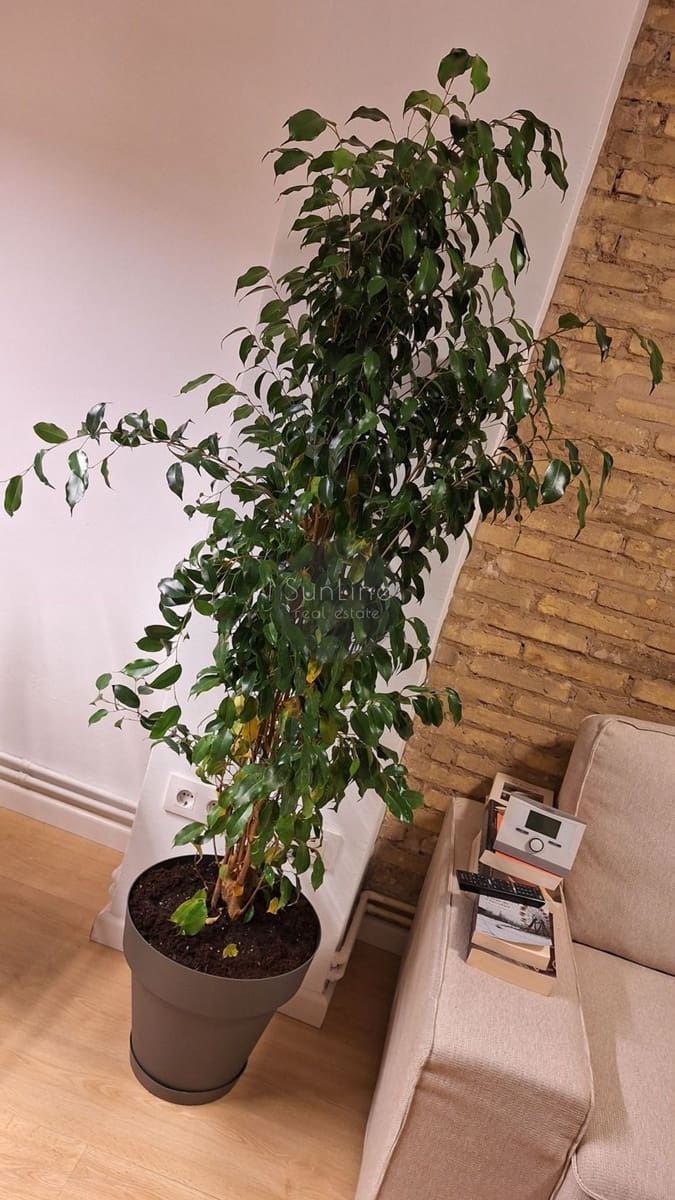 1 makuuhuone Asunto vuokrattavana paikassa Valencia kaupunki - 1 750 € (Ref: 10186134)