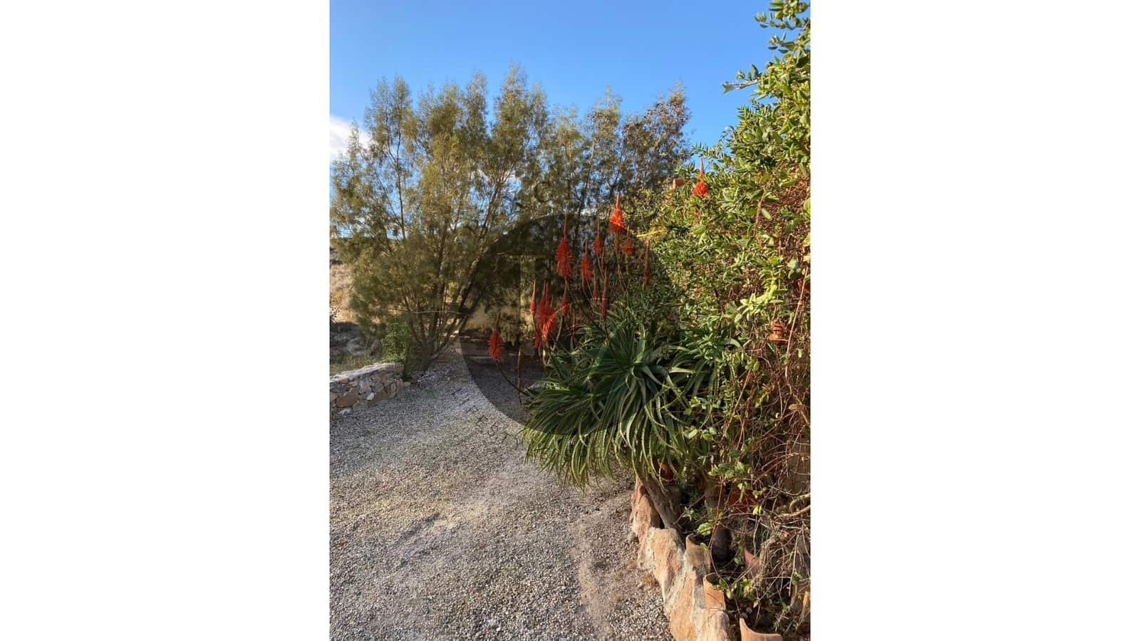 4 bedroom Finca/Country House for sale in Purias with pool garage - € 750,000 (Ref: 10097498)