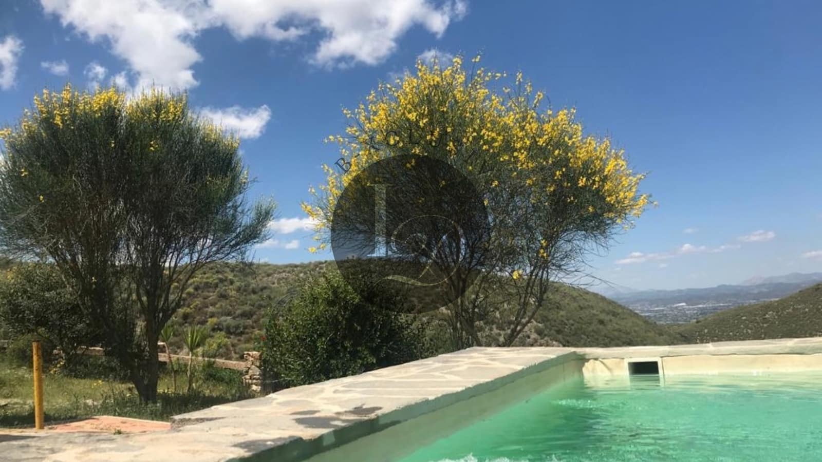 4 bedroom Finca/Country House for sale in Purias with pool garage - € 750,000 (Ref: 10097498)