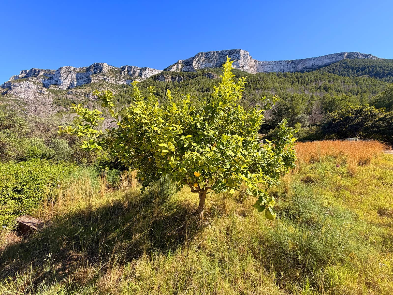3 soveværelse Finca/Landehus til salg i Denia med swimmingpool - € 900.000 (Ref: 9918868)