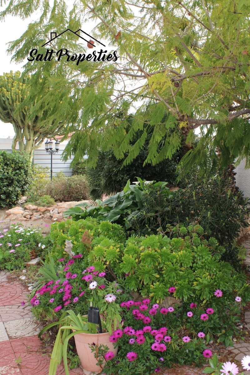 4 chambre Villa/Maison à vendre à El Chaparral - 530 000 € (Ref: 9882221)